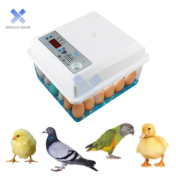20 Vajec Domácnosti Inkubátor Automatická Regulácia Teploty Inkubátor Nástroje Malé Plastové Bionic Vody Posteľ Farma Vtáčie Vajcia Inkubátor
